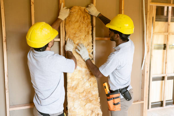 Best Professional Insulation Contractor  in Speedway, IN